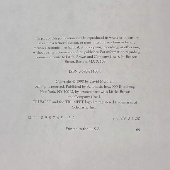 Lost! David McPhail Illustrated Picture Book Children Paperback Young Readers - Picture 7 of 8